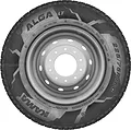 Alga LT
