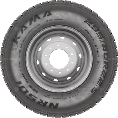 NR 501
