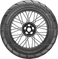 Capra-R