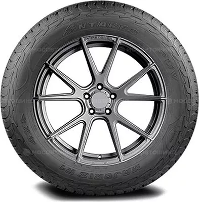 Majoris R1