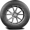 Majoris R1