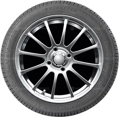 Autogreen Winter-Max U1-WL2 165/70 R14 81T