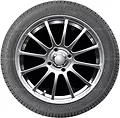 Autogreen Winter-Max U1-WL2 165/70 R14 81T