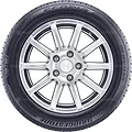 Ecopia EP300