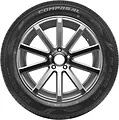 Compasal Blazer HP 205/55 R16 91V