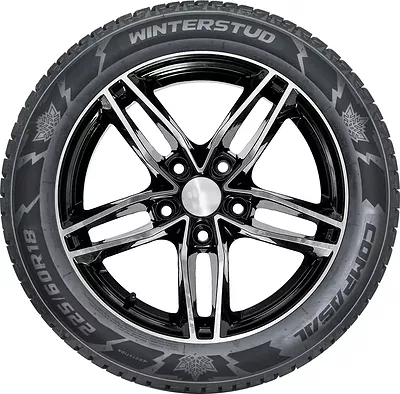 Compasal Winter Stud 285/60 R18 116T
