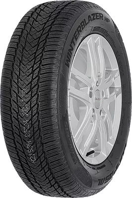 Compasal WinterBlazer HP 175/65 R15 84T