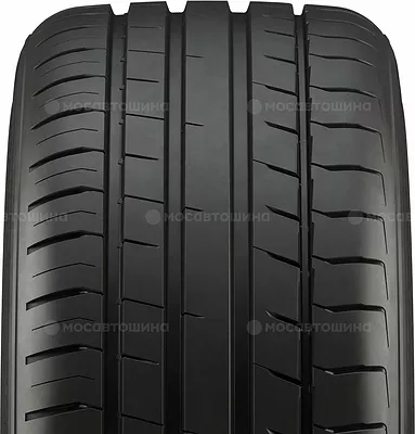 Protoura Sport