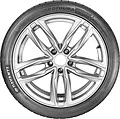 Protoura Sport