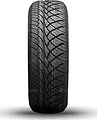 Doublestar Apex Racing 255/50 R18 106H