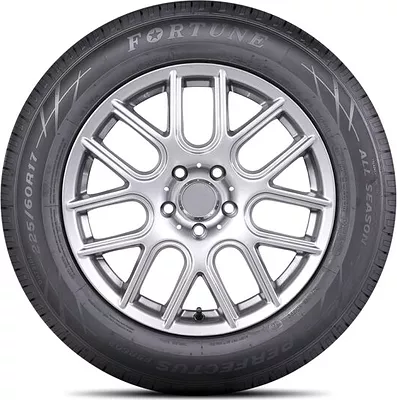 FSR-602