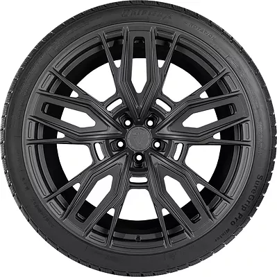 Gripmax SureGrip eWinter 255/60 R20 113V