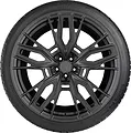 Gripmax SureGrip eWinter 255/60 R20 113V