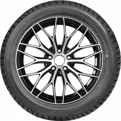 GreenMax Winter Grip