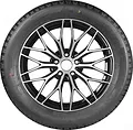Nankang Ice1 255/55 R19 111Q XL