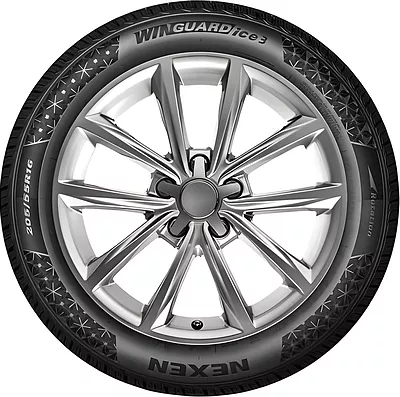 Winguard Ice 3