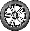 Hakkapeliitta 10 EV