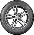 Hakkapeliitta 10p