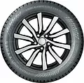 Hakkapeliitta 9