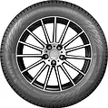 Hakkapeliitta R5