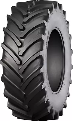 Pulmox RAG100 Agro10 650/65 R42 168A8