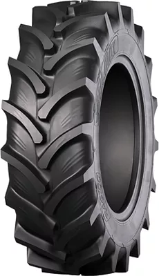 Pulmox RAG100 Agro10 R-1W 650/85 R38 176A8