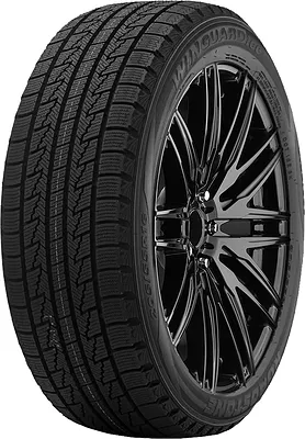 Roadstone Winguard Ice 165/60 R14 79Q XL