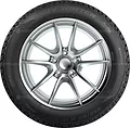 Taurus Winter 185/65 R15 92T XL