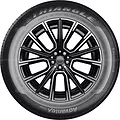 Triangle TC101 Advantex 205/55 R15 88W