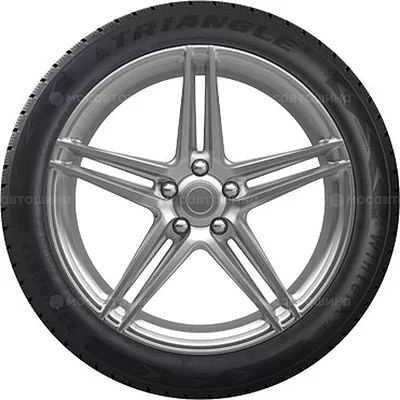 TW401 WinterX