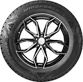 Windforce Arctic Power 265/55 R20 114T XL