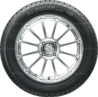 Ice Guard IG50+