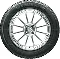 Ice Guard IG50